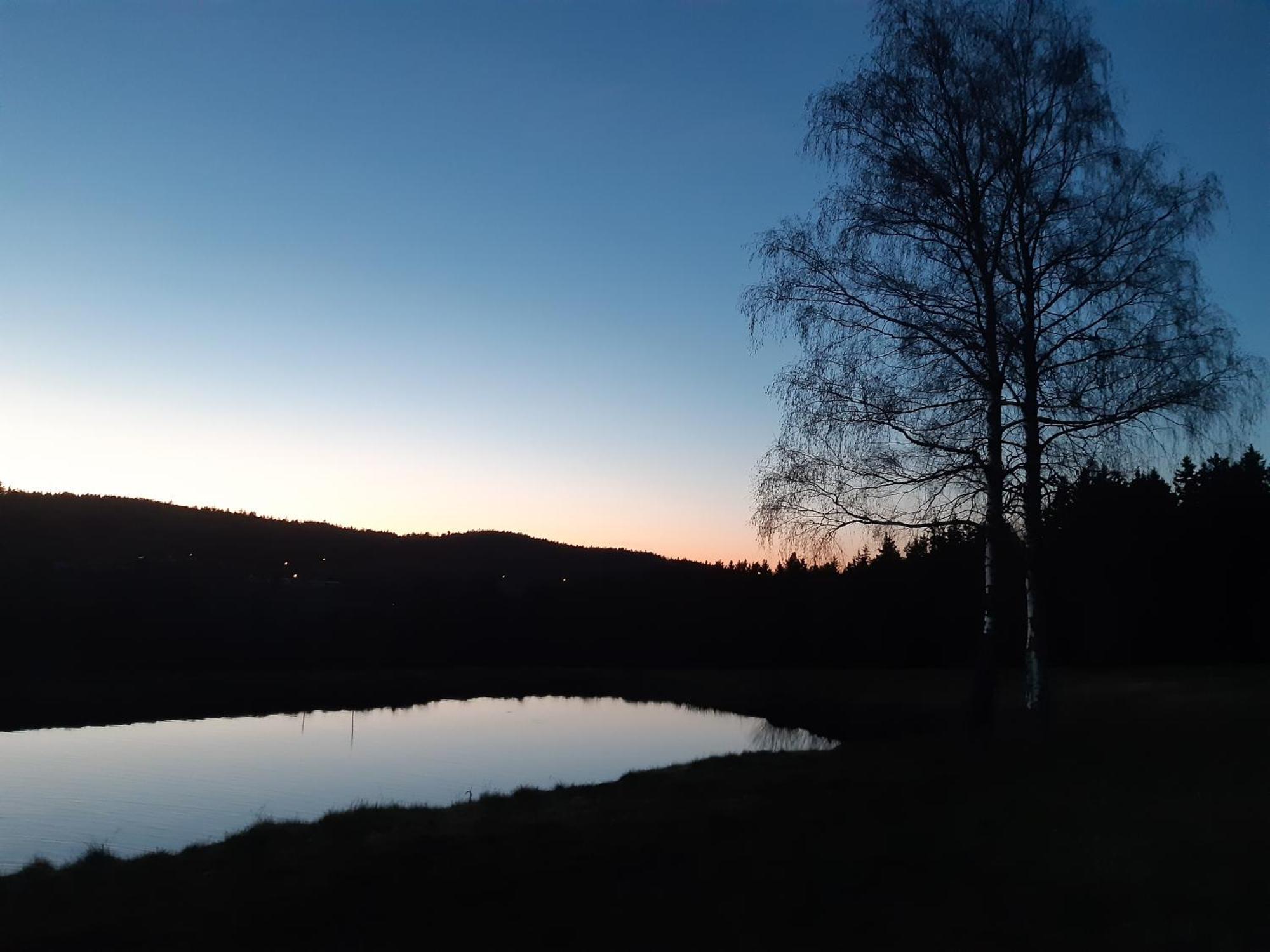 ホテル Zum Bergbauern ヴァイトハウス エクステリア 写真